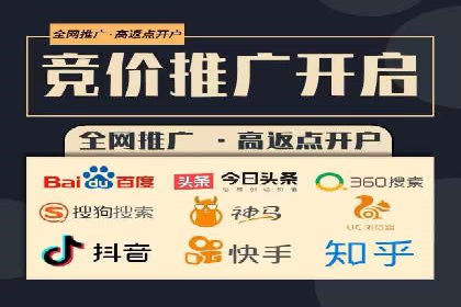 百度SEM代运营案例揭秘，如何实现ROI最大化